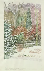 Voortuin in zware sneeuwstorm